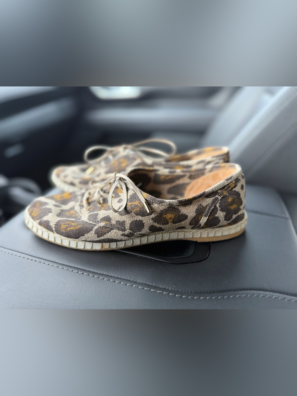 Charlotte Olympia Leopard Print Canvas Lace-Up Flats - Beige/Brown